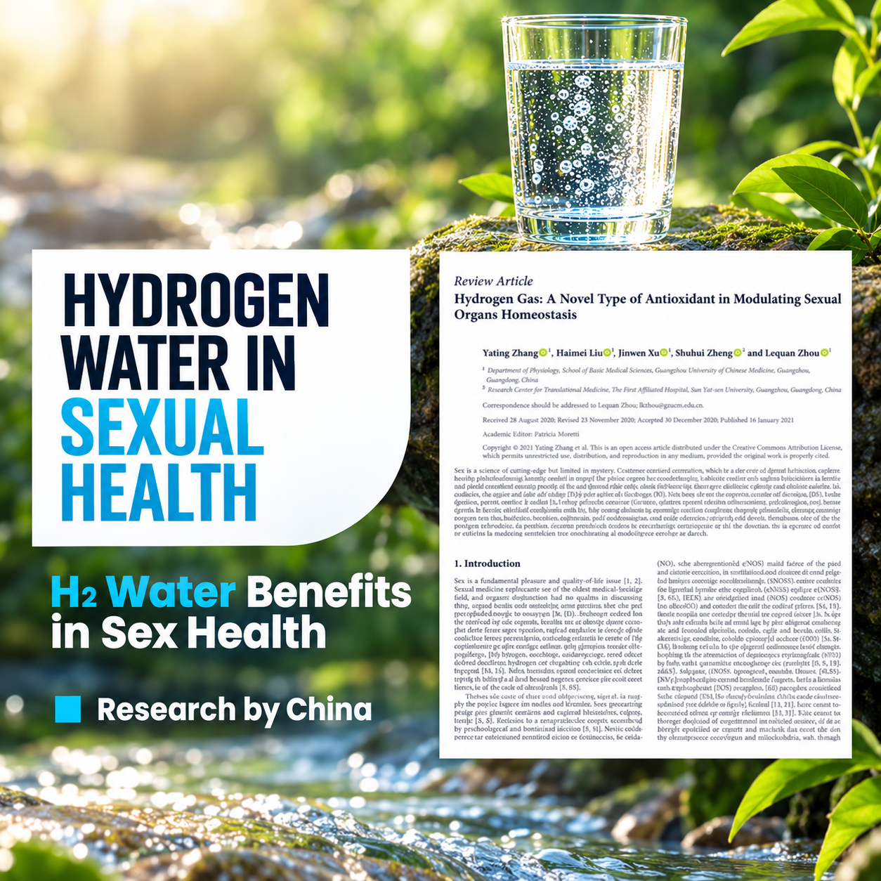 Supplied hydrogen-water research poster with a review article on experimental reproductive-health research.